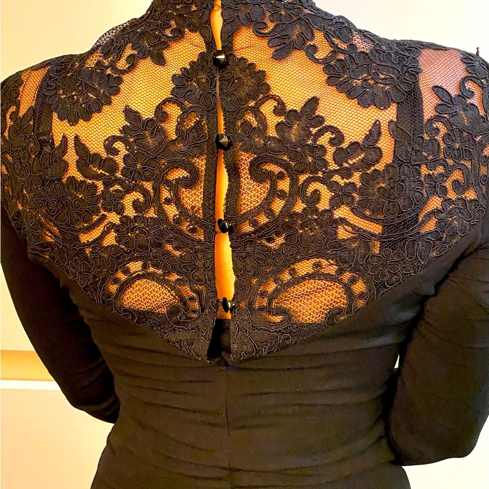 Alice and Olivia Turtle Neck Lace Blouse